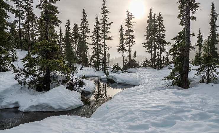 neve paesaggio - pexels- corrierecomo