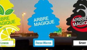 Arbre Magique