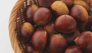 Castagne
