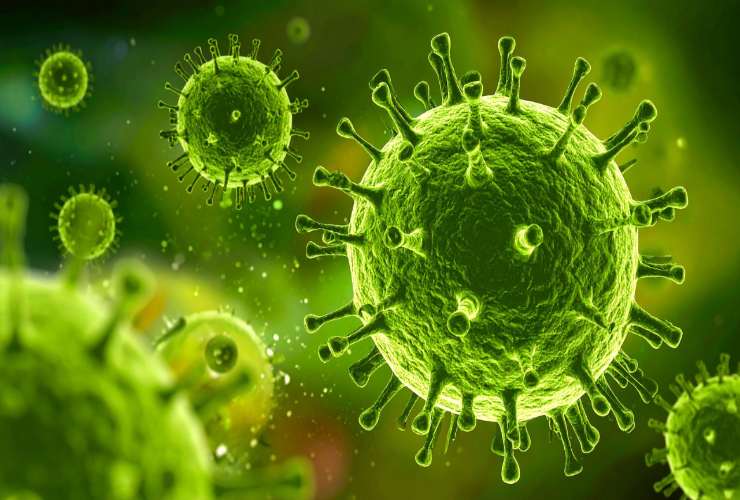 Virus pandemia