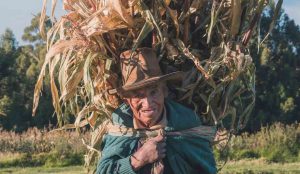 lavoratore anziano - pexels - corrierecomo